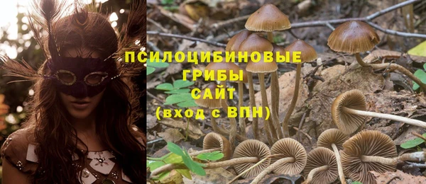 амф Алзамай
