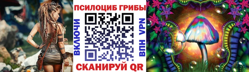 площадка телеграм  Ядрин  Псилоцибиновые грибы GOLDEN TEACHER  закладка 